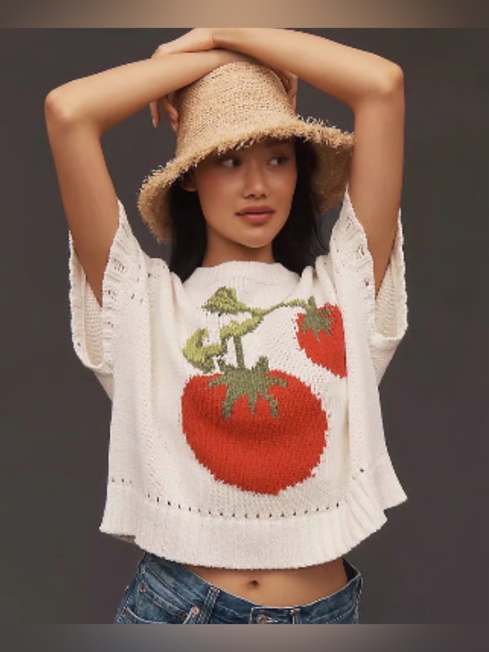 Anthropologie Maeve Veggie Motif Graphic Sweater Tomato Sz XL EUC - Picture 2 of 10
